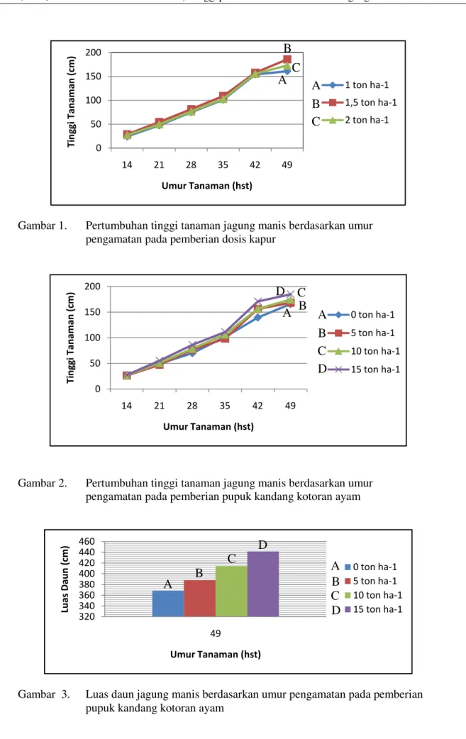 Gambar 1.   Pertumbuhan tinggi tanaman jagung manis berdasarkan umur   pengamatan pada pemberian dosis kapur 