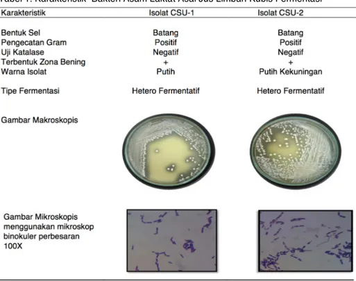 Tabel 1. Karakteristik  Bakteri Asam Laktat Asal Jus Limbah Kubis Fermentasi 	