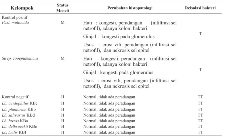 Tabel 1. Keamanan BAL indigenous secara in vivo pada mencit (Mus musculus)
