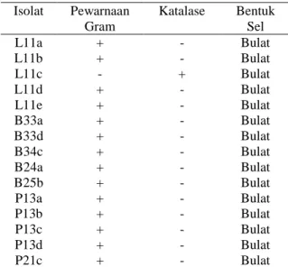 Tabel 3. Hasil Morfologi Sel dan Pewarnaan Gram  Isolat  BAL  dari  peda  Ikan  layang,  petek,  dan buntal  Isolat  Pewarnaan  Gram  Katalase  Bentuk Sel  L11a  +  -  Bulat  L11b  +  -  Bulat  L11c  -  +  Bulat  L11d  +  -  Bulat  L11e  +  -  Bulat  B33a 
