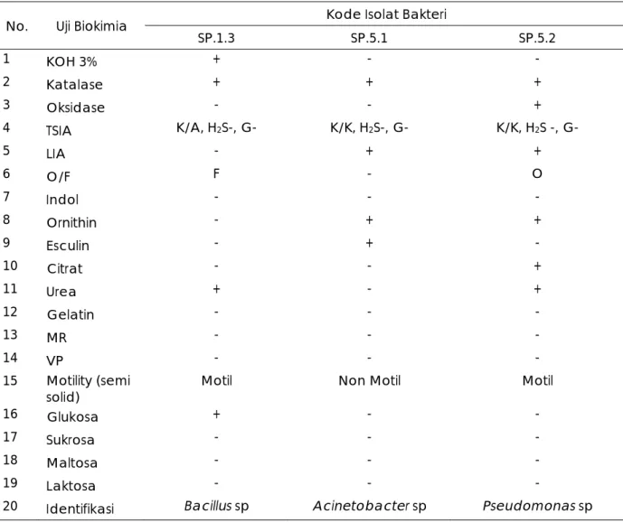 Tabel 4. Identifikasi Bakteri Isolat Terbaik Secara Fenotipik (Uji Biokimia) 