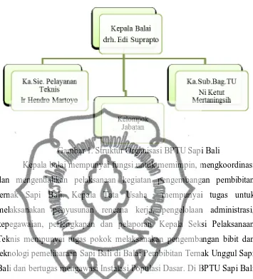 Gambar 1. Struktur Organisasi BPTU Sapi Bali 