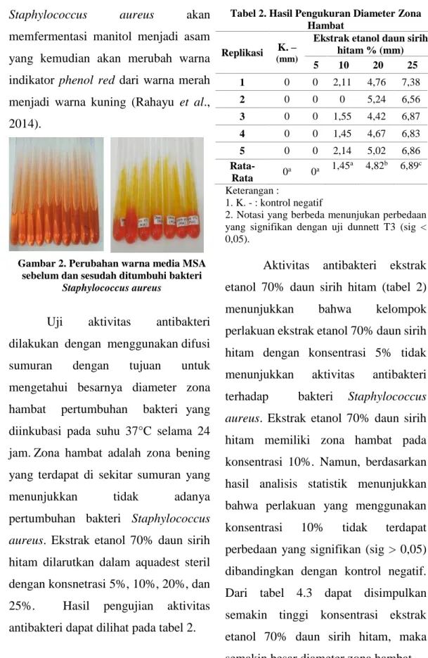 Tabel 2. Hasil Pengukuran Diameter Zona  Hambat 
