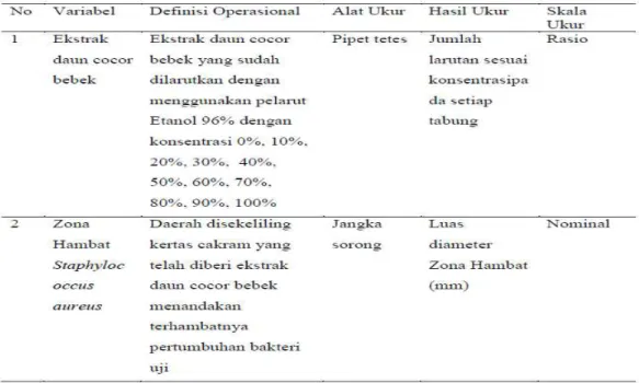 Tabel 3  Definisi Operasional 