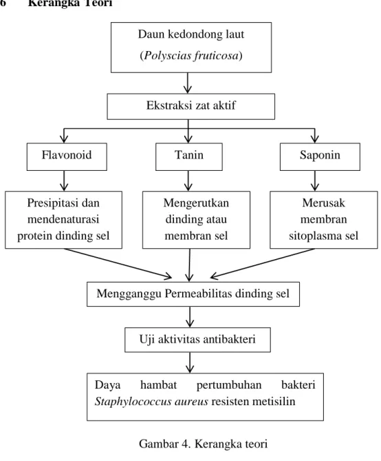 Gambar 4. Kerangka teori 