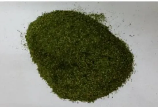 Gambar 1. Simplisia Daun Mindi 