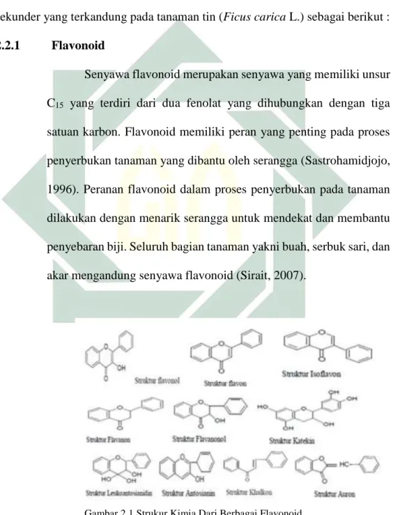 Gambar 2.1 Strukur Kimia Dari Berbagai Flavonoid  Sumber : Robinson, 1995 