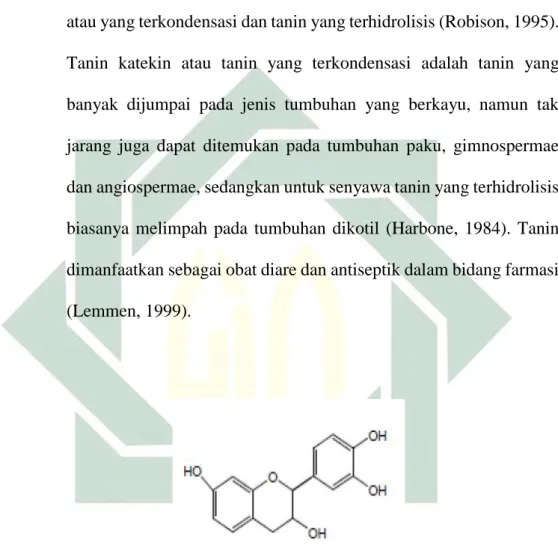 Gambar 2.3 Struktur Senyawa Tanin  Sumber : Robinson, 1995 