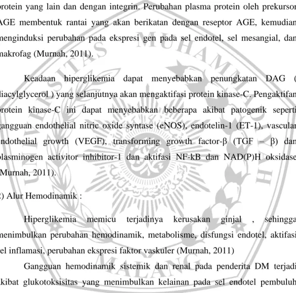 Gambar 2.6. Mekanisme AGEs mengakibatkan komplikasi vaskular (Katzung,  2002) 
