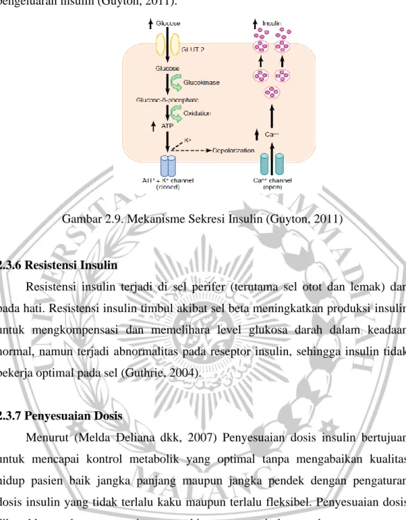 Gambar 2.9. Mekanisme Sekresi Insulin (Guyton, 2011) 