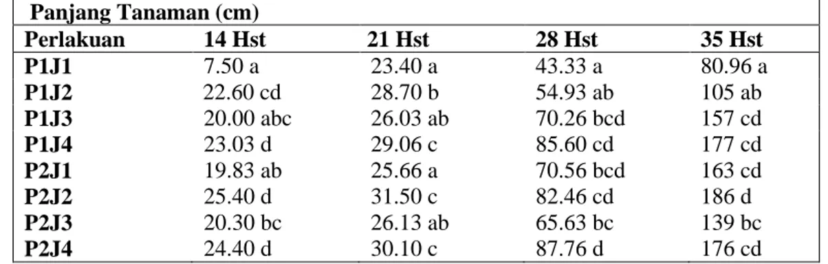 Tabel  2.  Kombinasi  Skarifikasi  dan  Perendaman  Auksin  Semangka  non  biji  terhadap  Panjang  Tanaman   Panjang Tanaman (cm)  Perlakuan  14 Hst   21 Hst   28 Hst   35 Hst   P1J1  7.50 a  23.40 a  43.33 a  80.96 a  P1J2  22.60 cd  28.70 b  54.93 ab  1