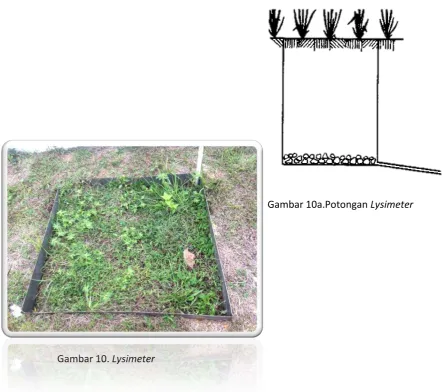 Gambar 10a.Potongan Lysimeter 