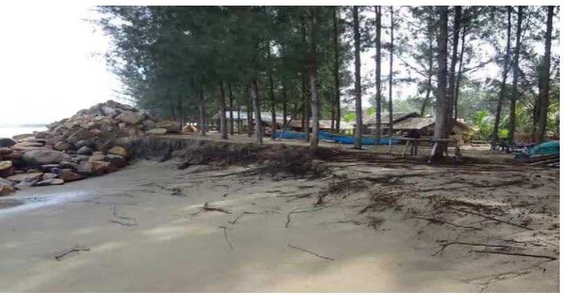 Gambar 6 Abrasi Pantai Nagari Api-Api  Kec.Bayang 