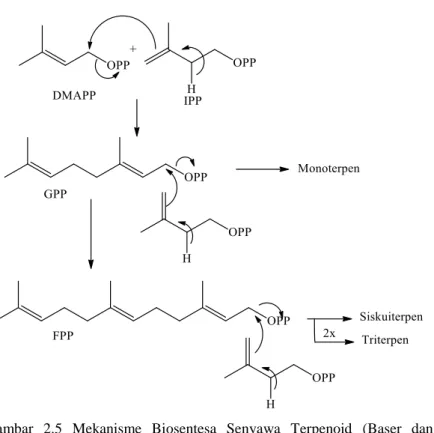 Gambar  2.5  Mekanisme  Biosentesa  Senyawa  Terpenoid  (Baser  dan  Buchbauer, 2010) 