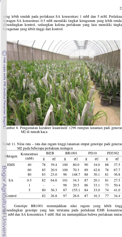 Tabel 11. Nilai rata – rata dan ragam tinggi tanaman empat genotipe padi generasi