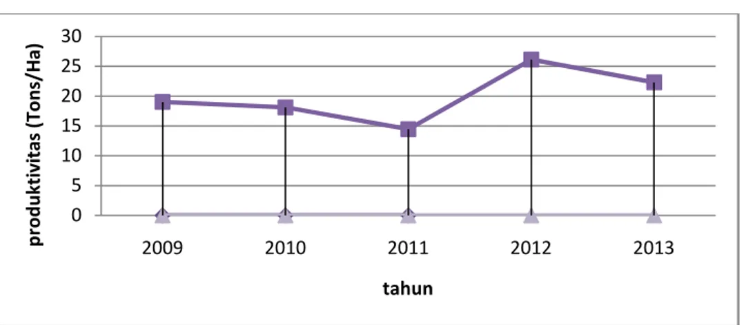 Gambar 1. Perkembangan Produktivitas Jeruk Siam di Kabupaten Sambas Tahun 2009 – 2013