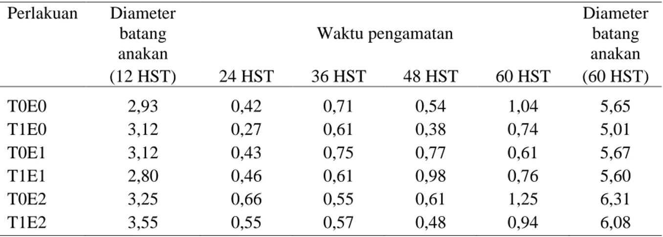Tabel 5.  Rerata pertambahan  dua belas harian diameter batang anakan jahe merah pada 24 - -60 HST (mm)  Perlakuan  Diameter  batang  anakan  Waktu pengamatan  Diameter batang anakan   (12 HST)  24 HST  36 HST  48 HST  60 HST  (60 HST)  T0E0  2,93  0,42  0