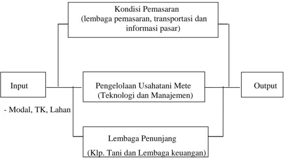 Gambar 3. Kinerja Usahatani Jambu Mete (Indrawanto, et, al., 2003) 