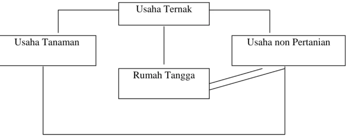 Gambar 4. Kerangka Dasar Usaha  Usahatani Intensifikasi Diversifikasi Keluarga  (Simatupang, 2003) 