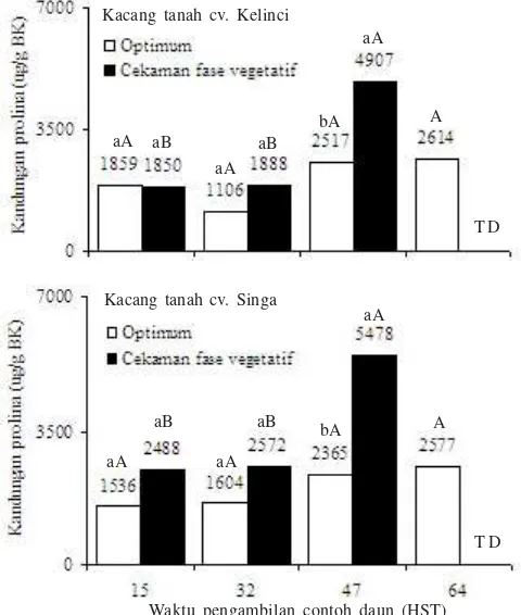 Tabel 7. Kandungan prolina dan gula total daun enam kultivar kacangtanah pada kondisi lingkungan optimal dan cekamankekeringan fase vegetatif hingga pengisian polong (15-80hari sesudah tanam)