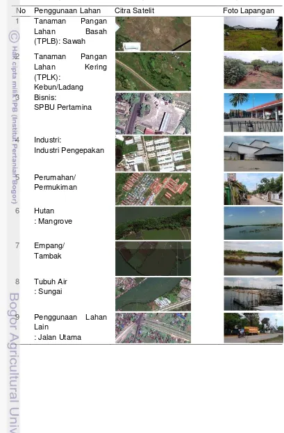 Tabel 3.  Tampilan penggunaan lahan pada citra satelit dan foto lapangan  