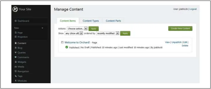 Figure 1-4. The content management admin page