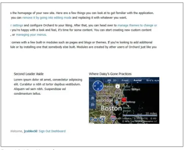 Figure 1-9. A Bing Maps widget