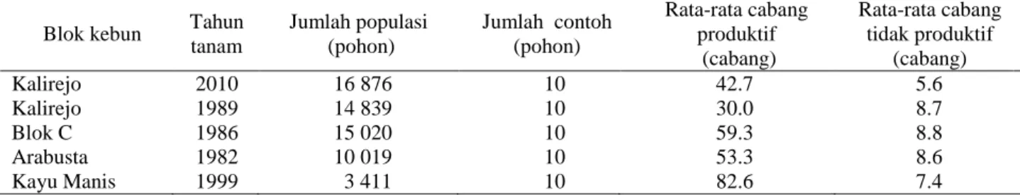 Tabel 3.   Rata-rata jumlah cabang-cabang produktif dan cabang-cabang tidak produktif tanaman kopi  Arabika di Kebun Blawan 