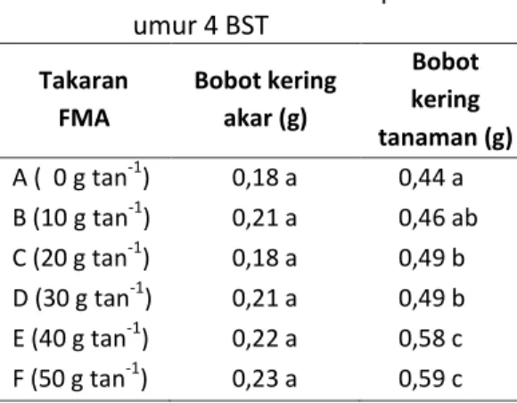 Tabel  2.    Pengaruh  FMA  terhadap  bobot  kering  akar  dan  bobot  kering  tanaman  bibit  kopi  arabika  umur 4 BST  Takaran  FMA  Bobot kering akar (g)  Bobot kering  tanaman (g)  A (  0 g tan -1 )  0,18 a  0,44 a  B (10 g tan -1 )  0,21 a  0,46 ab  