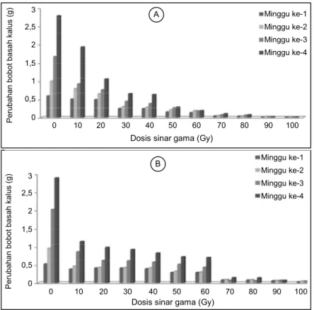 Gambar 2.   Perubahan bobot basah kalus padi varietas Ciherang (A) dan Inpari 13 (B) akibat perlakuan  iradiasi sinar gama