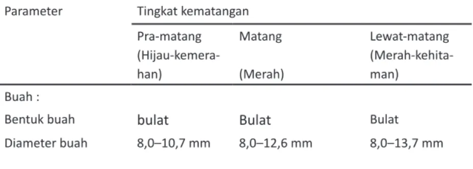 Tabel 1. Morfologi dan anatomi buah dan biji salam pada tiga tingkat kematangan buah  Parameter Tingkat kematangan