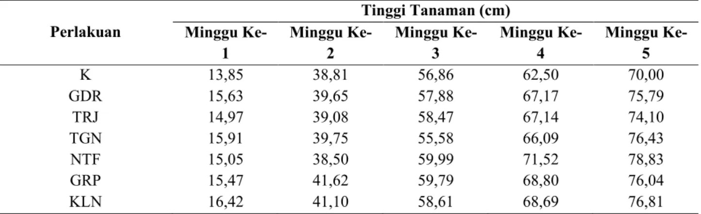 Tabel 2. Pengaruh pemberian beberapa isolat jamur  Trichoderma spp. terhadap tinggi tanaman pada jagung
