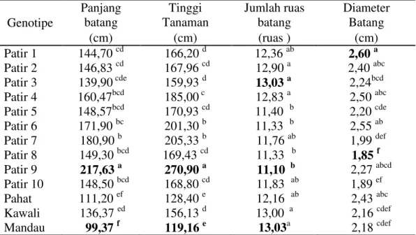 Tabel  2  menunjukkan  bahwa  varietas  Kawali,  Mandau  dan  galur  Patir  3  memiliki  jumlah  ruas  batang  paling  banyak  diantara  genotipe  sorgum manis yang diuji