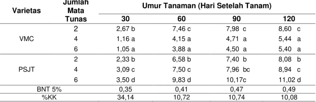 Tabel 4  Rerata Jumlah Anakan per Rumpun Akibat Interaksi Varietas dan Jumlah Mata Tunas  Bibit stek Tebu 