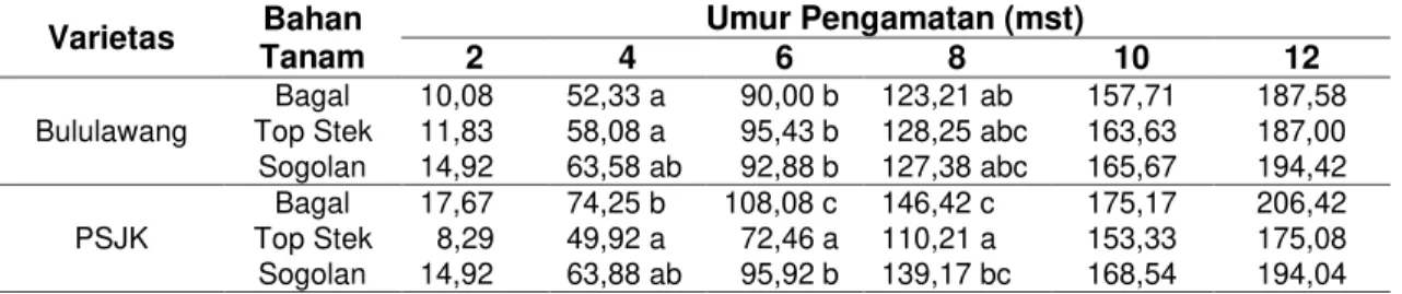 Tabel  2  Rerata  Panjang  Tanaman  (cm)  Akibat  Terjadinya  Interaksi  antara  Varietas  dengan  Bahan Tanam   Varietas  Bahan  Tanam  Umur Pengamatan (mst)  2  4  6  8  10  12  Bululawang  Bagal  10,08   52,33 a    90,00 b  123,21 ab  157,71   187,58  