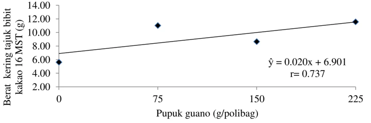 Grafik hubungan bobot kering tajuk bibit kakao 16 MST dengan   pemberian pupuk guano  ditampilkan  pada Gambar 5 berikut ini