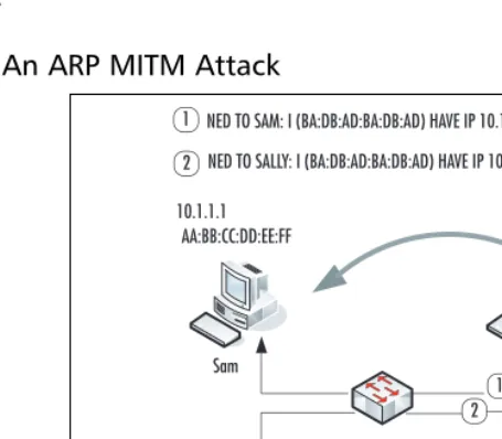 Figure 1.6).This is probably the most insidious ARP-related attack. By routing