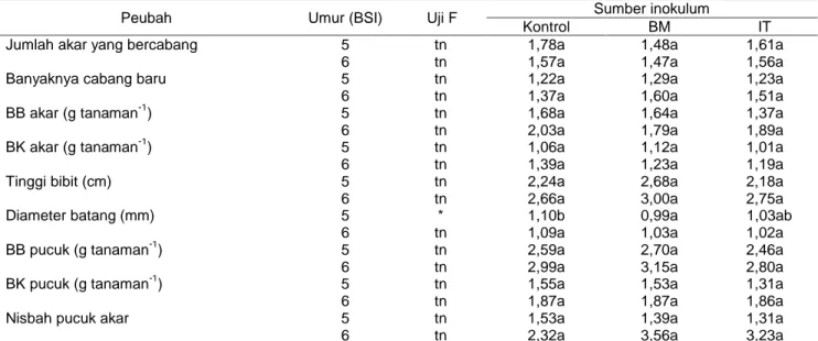 Tabel  3  Interaksi  antara  perlakuan  pemangkasan  akar  dan  sumber  inokulum  terhadap  pertumbuhan  bibit  melinjo selama 6 bulan pengamatan 