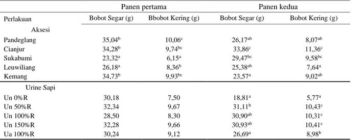 Tabel 4 Bobot panen per tanaman katuk 