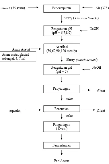 Gambar 4 : Diagram alir pembuatan Cassava Starch Asetat ( Artiani, 2005) 