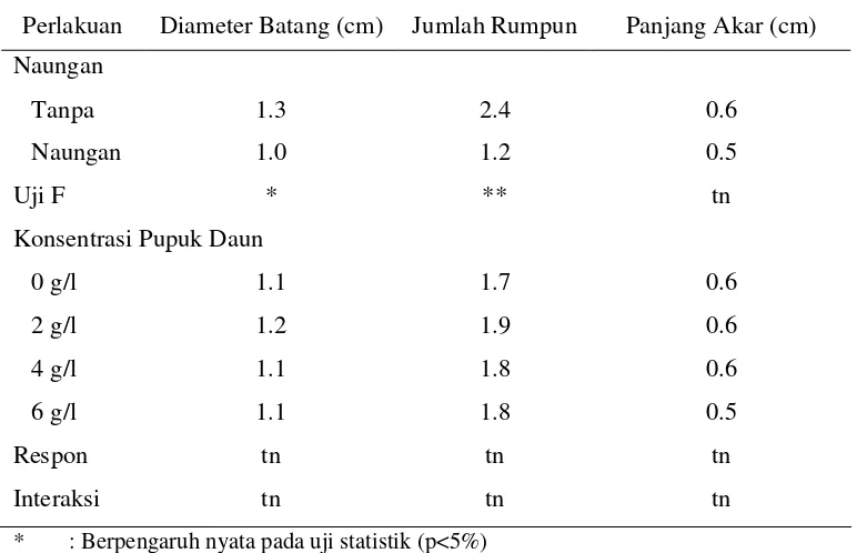 Tabel 4.  Pengaruh Aplikasi Naungan dan Pupuk Daun terhadap Diameter Batang, Jumlah Rumpun dan Panjang Akar Seledri