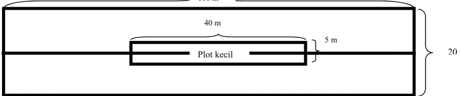 Gambar 2. Plot penelitian  