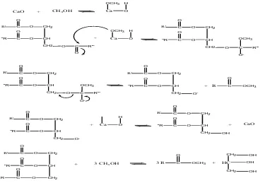 Gambar 2.3 Reaksi Transesterifikasi Dengan Katalis Heterogen 