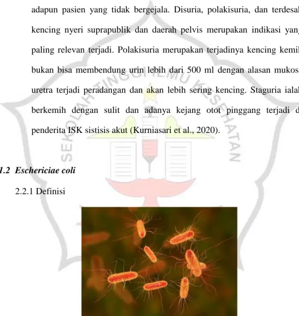 Gambar 2.1. Bakteri Eschericiae coli  (Sumber : Ni Wayan, 2020) 