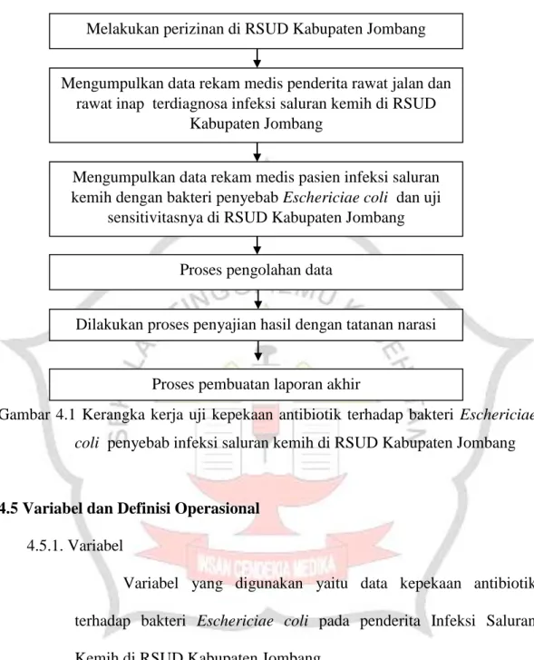 Gambar  4.1  Kerangka  kerja  uji  kepekaan  antibiotik  terhadap  bakteri  Eschericiae  coli  penyebab infeksi saluran kemih di RSUD Kabupaten Jombang 