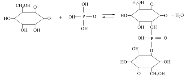 Gambar 2. Mekanisme Pengaktifan Karbon dengan H 3 PO 4