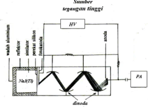 Gambar 2. Skema detektor sintilasi NaI(Tl) [5]  
