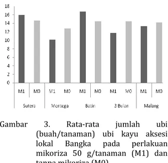 Gambar  2.  Rata-rata  jumlah  daun  ubi  kayu  aksesi  lokal  Bangka  pada  perlakuan  mikoriza  50  g/tanaman  (M1)  dan  tanpa mikoriza (M0)