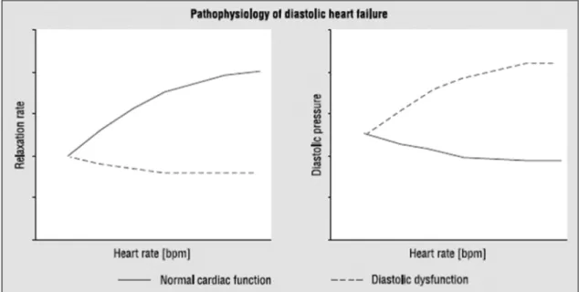 Gambar 1. Hubungan antara relaksasi dan antara tekanan diastolik ventrikel kiri dan denyut jantung pada 