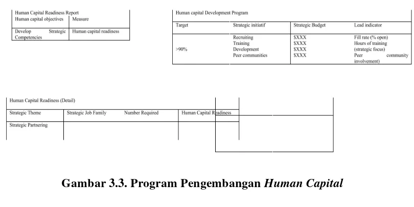 Gambar 3.3. Program Pengembangan Human Capital 